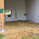 Offenbox f&uuml;r Patientenpferde, mit Blick zu den anderen Pferden.kleiner Auslauf dabei. box mit Tor absperrbar.  Beheizte Tr&auml;nke